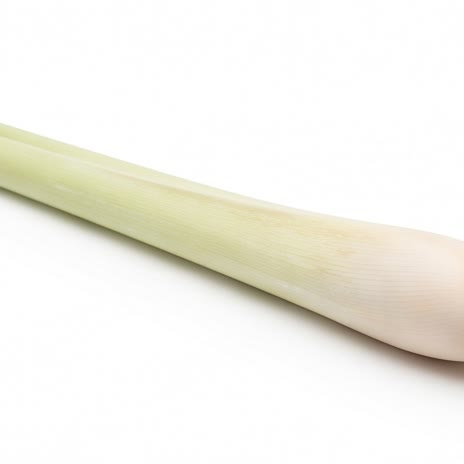 Lemongrass