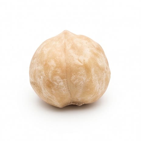 Candlenut