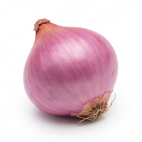 Shallot